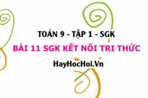 Lý thuyết Toán 9 Bài 11: Tỉ Số Lượng Giác Của Góc Nhọn (Kết Nối Tri Thức)